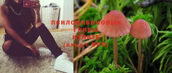 шишки Абдулино
